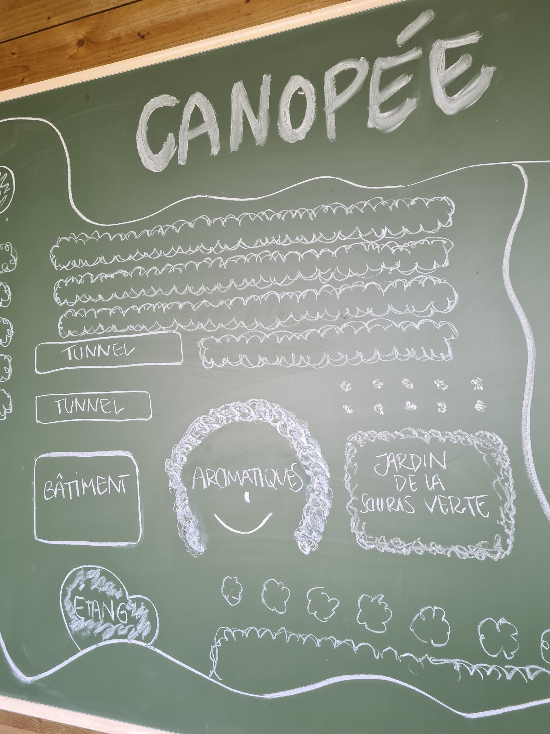 canopee-batiment-amenagement