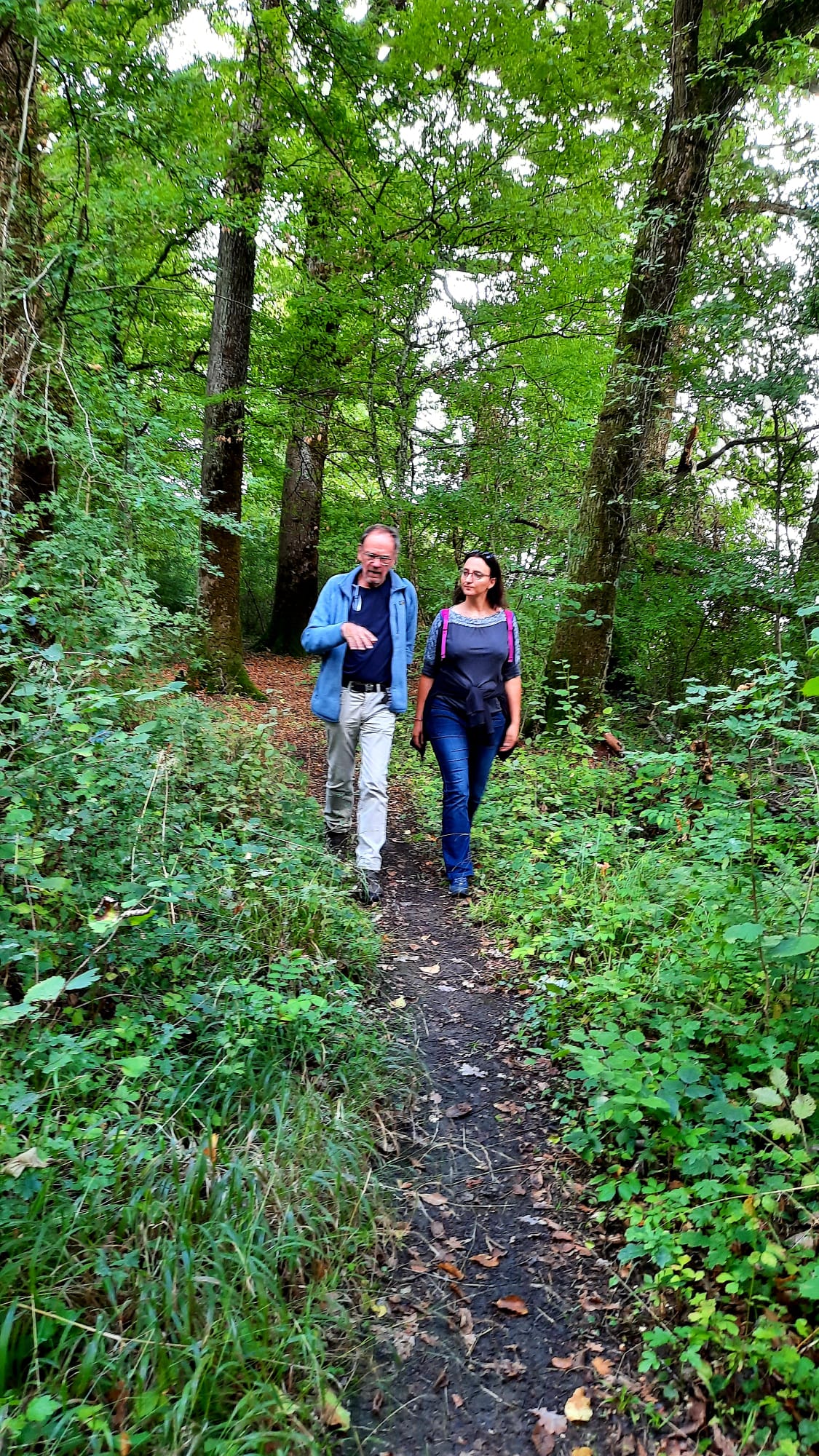 Forêt du Bobësch_3
