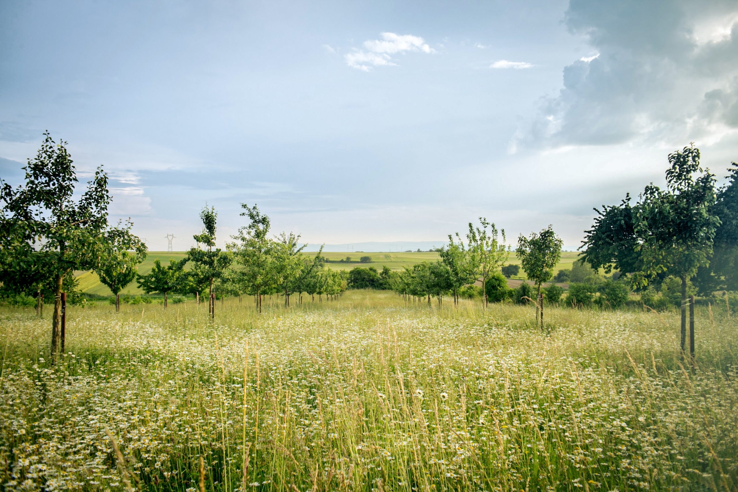 flash-dantz-NMcC4oakPKc-unsplashPhoto de Flash Dantz sur Unsplash