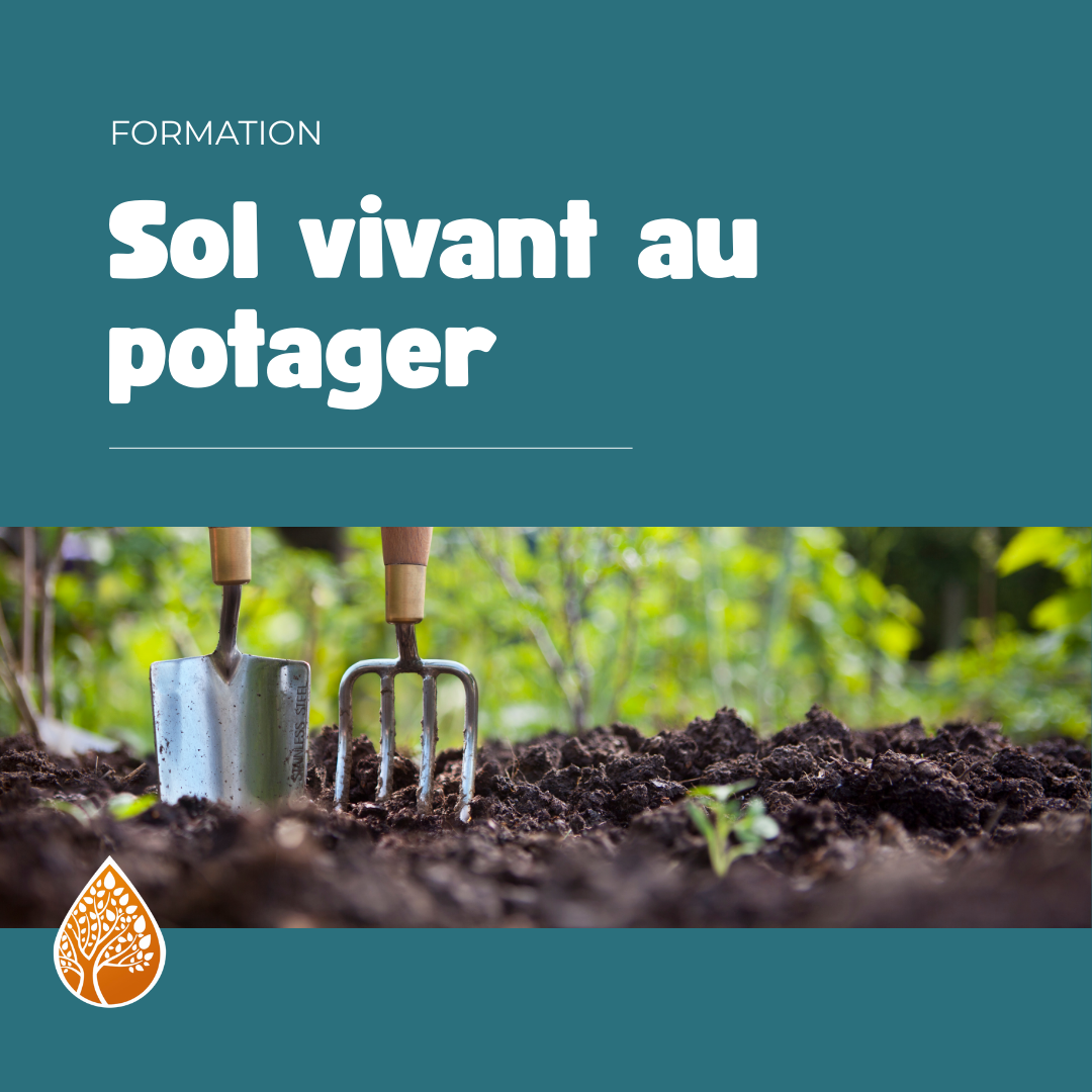 formation sol vivant