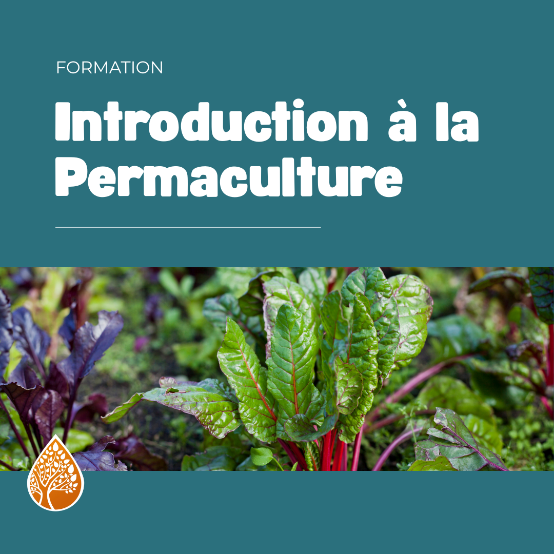 Formation permaculture