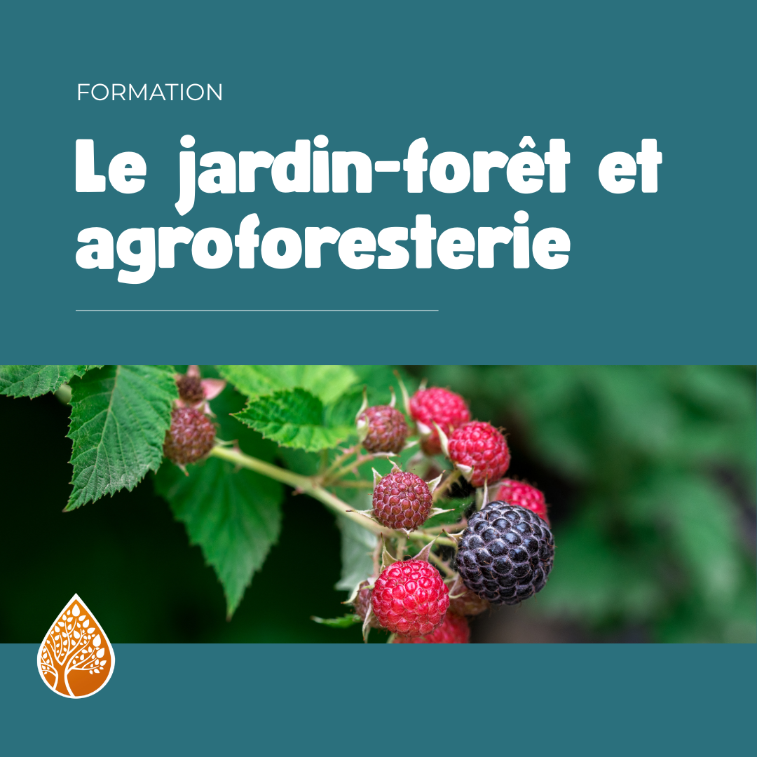 formation jardin foret agro