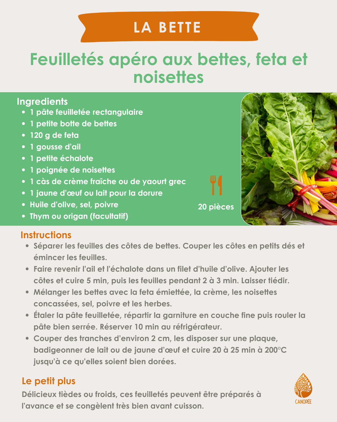 semaine 9