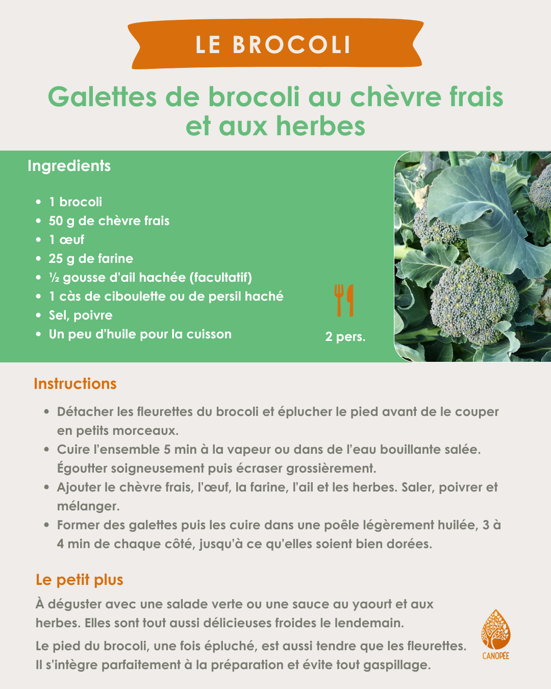 semaine 8