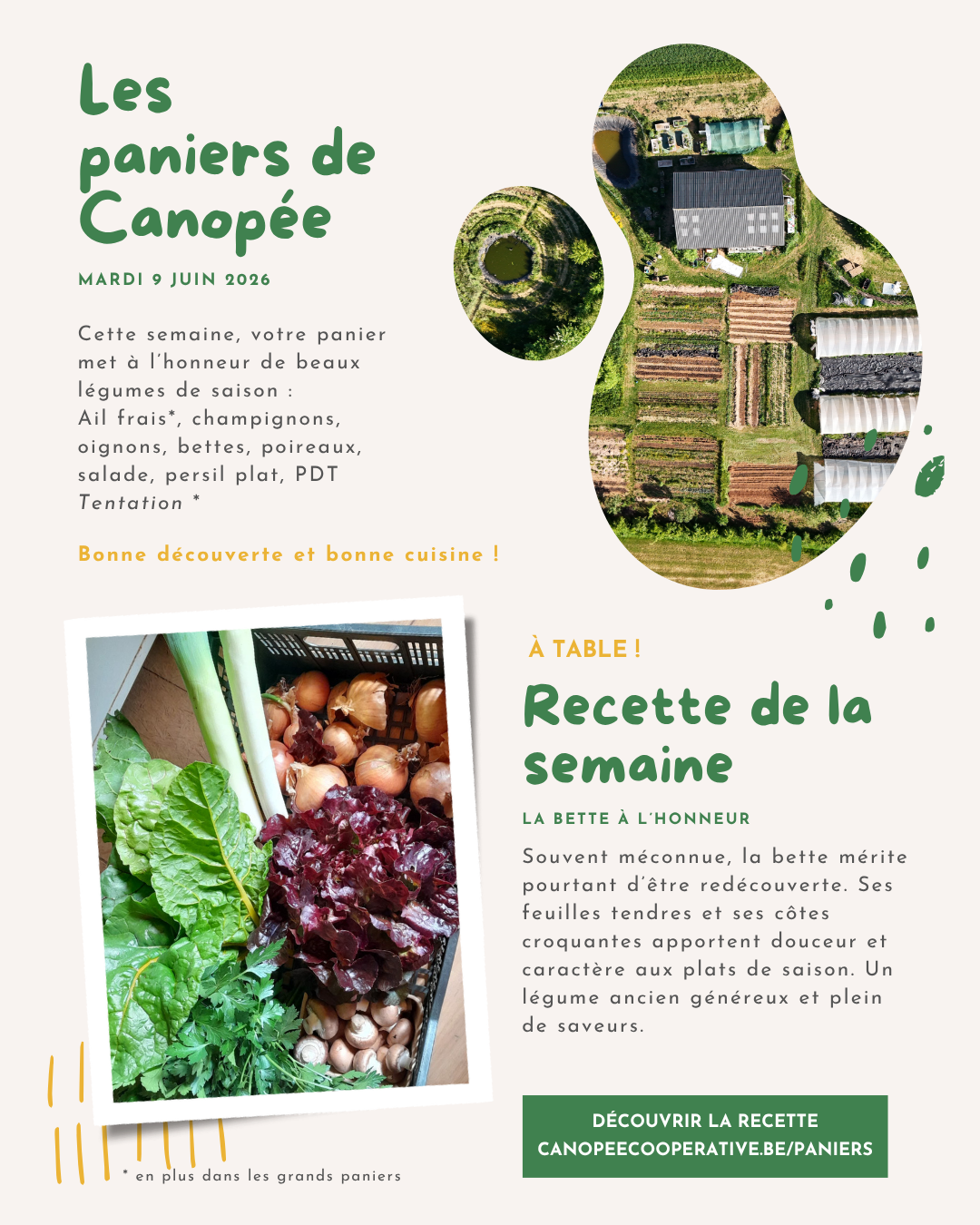 semaine 9