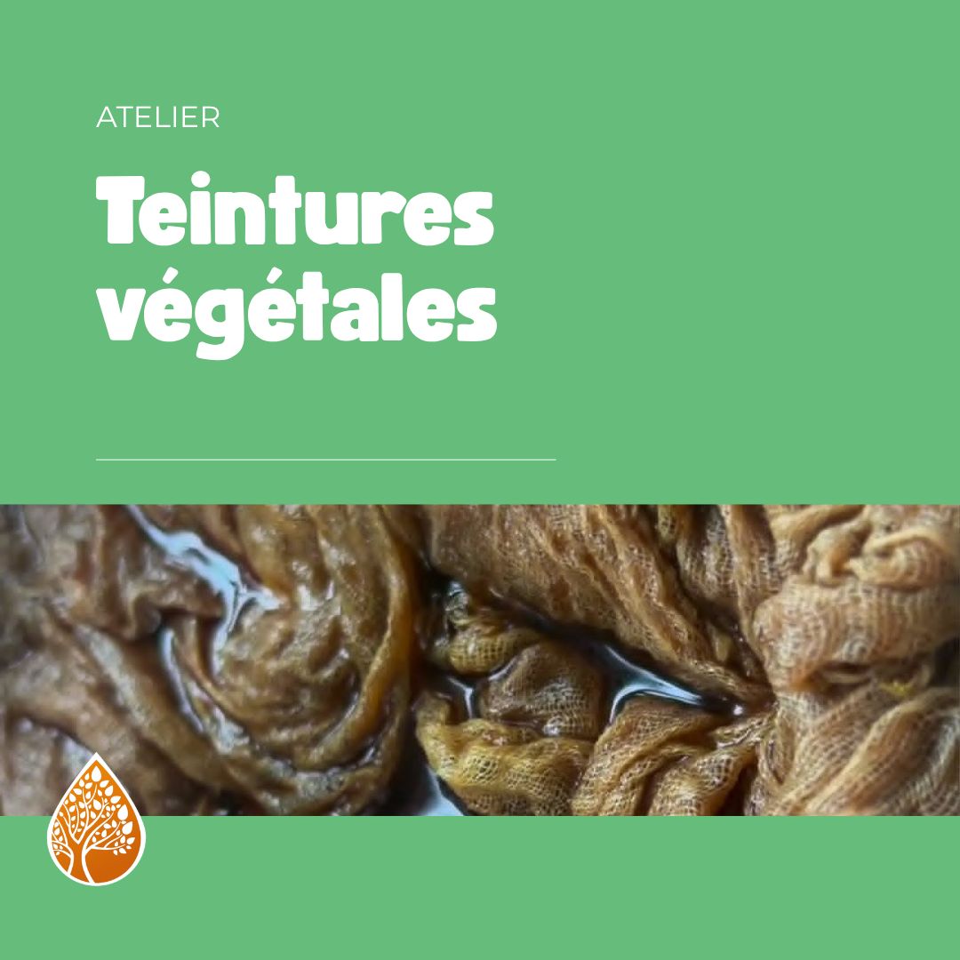 Teinture végétale
