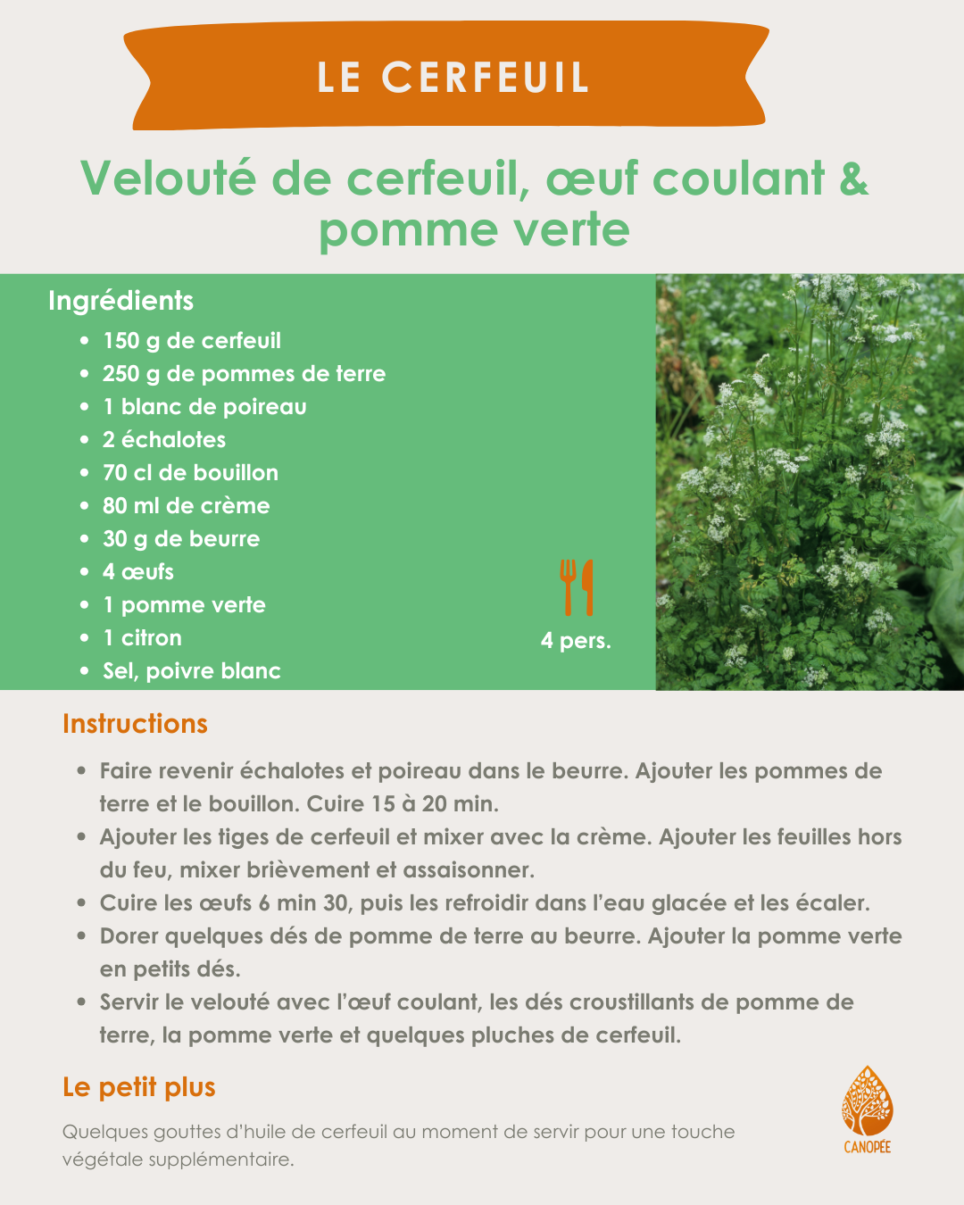Semaine 22